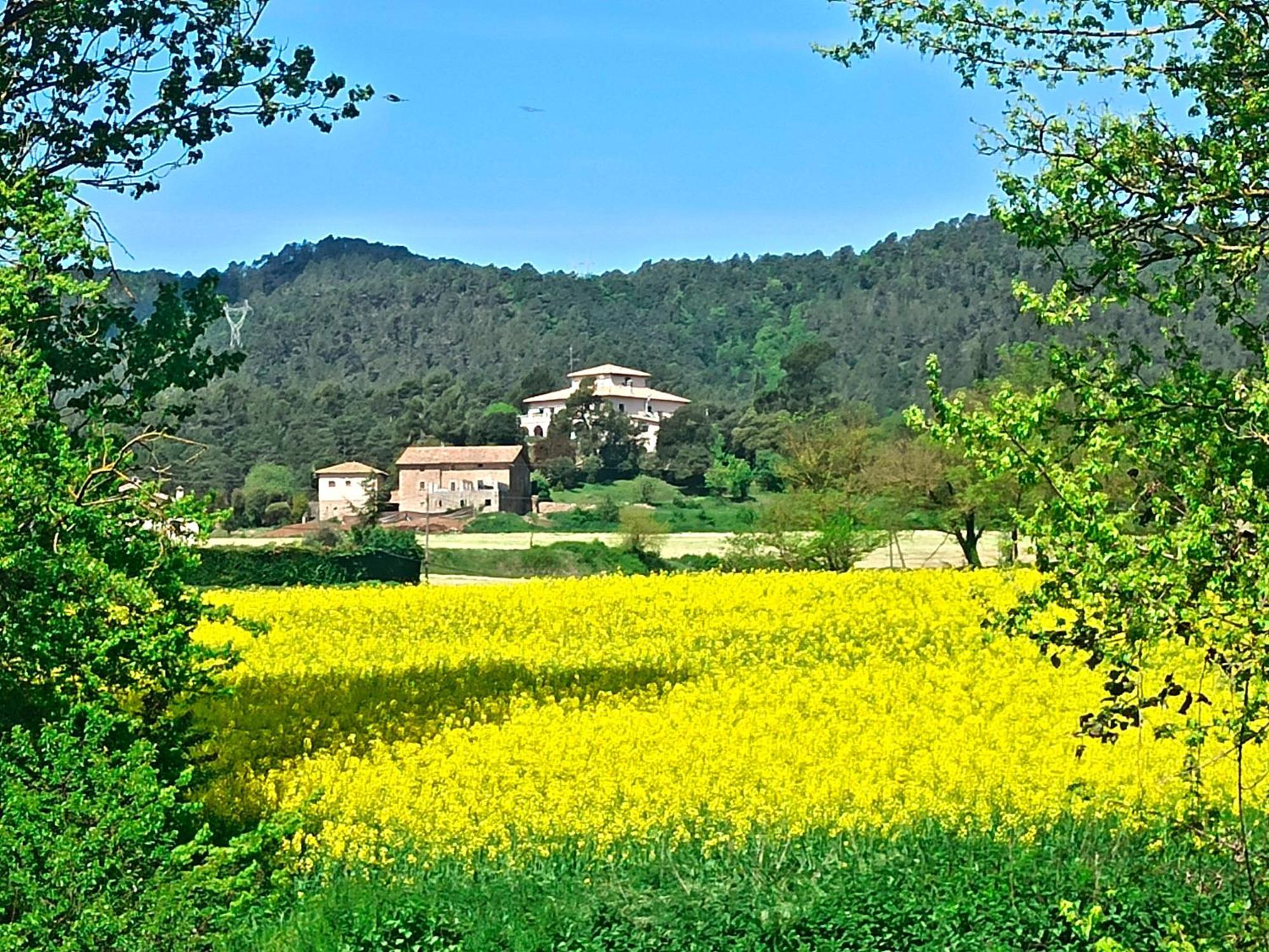 La Torre Del Vilar Santa Eulalia de Riuprimer ภายนอก รูปภาพ