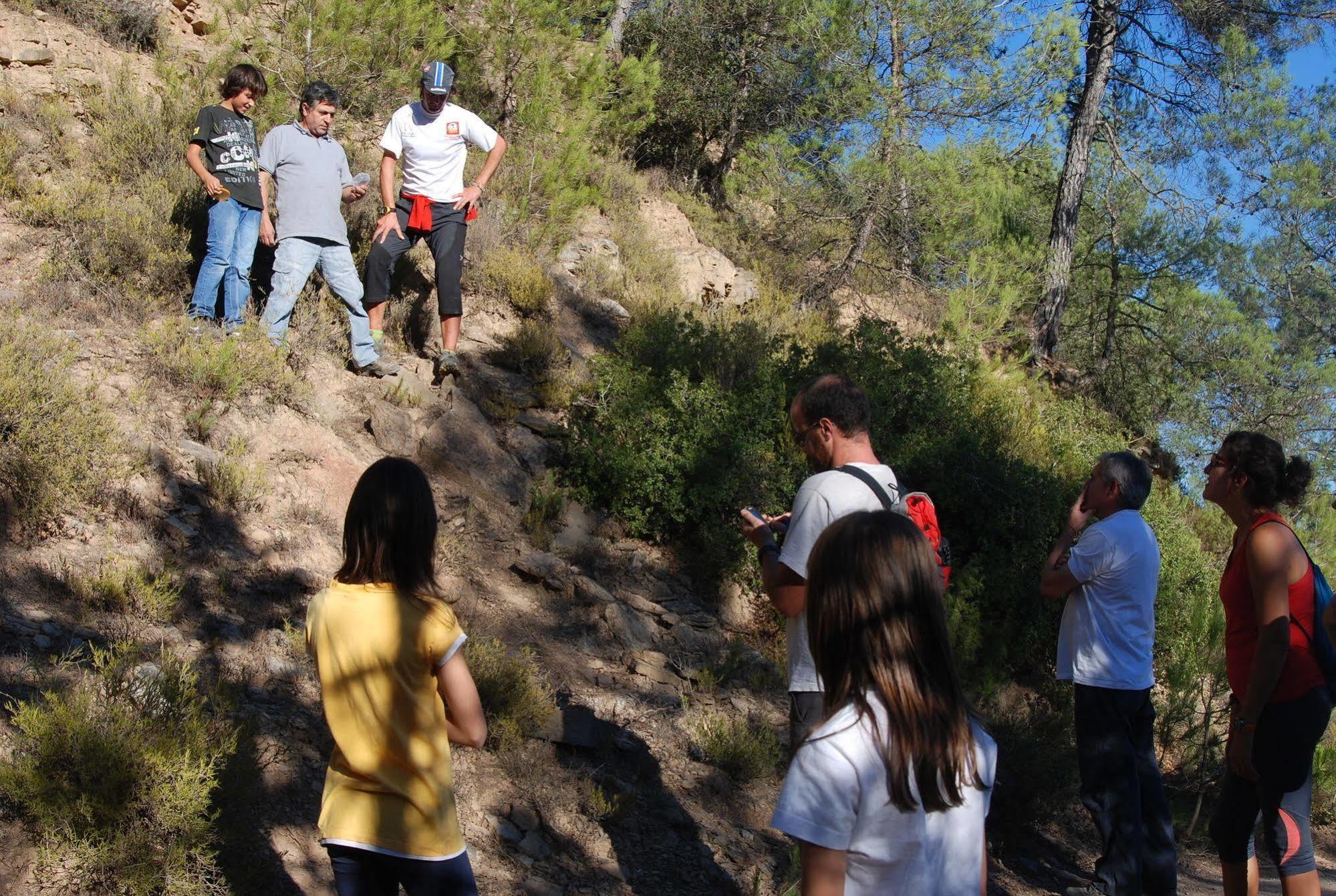 La Torre Del Vilar Santa Eulalia de Riuprimer ภายนอก รูปภาพ